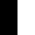 Negru cu alb
